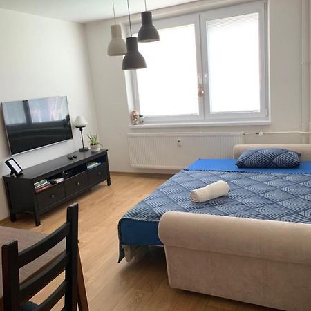 Apartman Volterka Plesivec Eksteriør billede