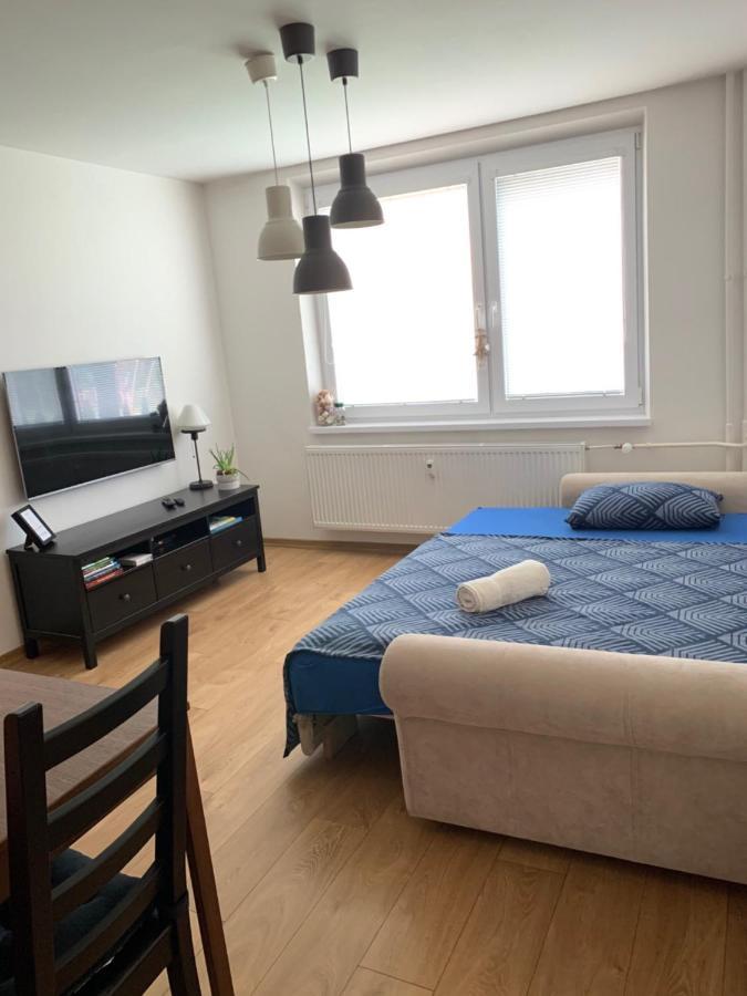 Apartman Volterka Plesivec Eksteriør billede